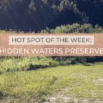 Hidden Waters Preserve  |   Take a Hike in Eustis