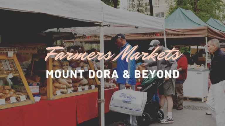 Farmers Markets Mount Dora