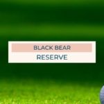 Black Bear Reserve Homes for Sale, Eustis Golf Course