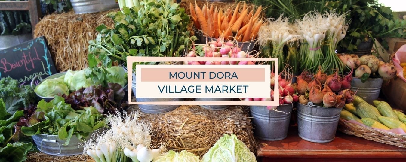 Mount Dora Village Market