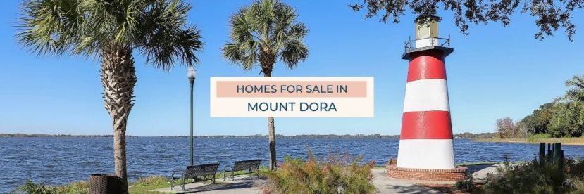 Homes for sale in Mount Dora