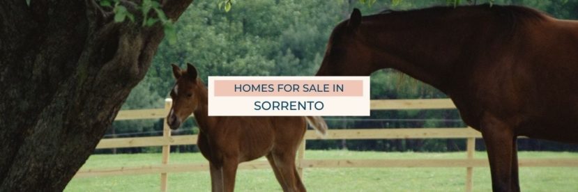 Homes for Sale in Sorrento