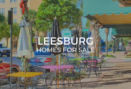 Leesburg Homes for Sale