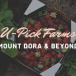 Love Fresh Produce? Here’s Your Mount Dora Area U-Pick Farms