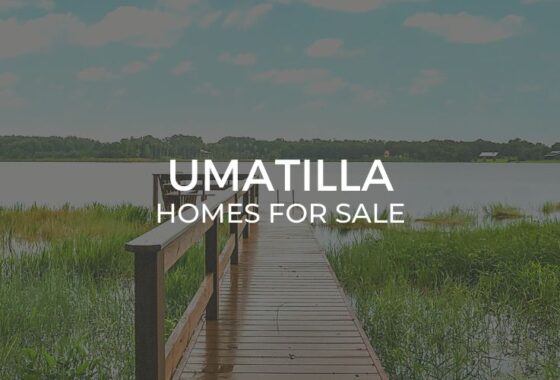 Umatilla Homes for Sale