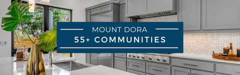 Mount Dora 55+ Homes for Sale
