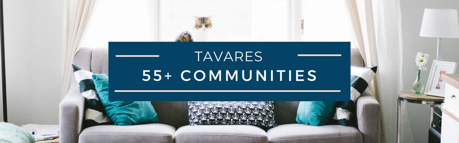 Tavares 55+ Homes for Sale