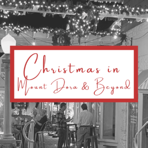 Christmas in Mount Dora