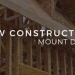 New Construction Homes in Mount Dora