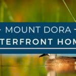 Mount Dora Waterfront Homes for Sale