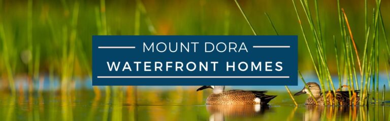 Mount Dora Waterfront Homes