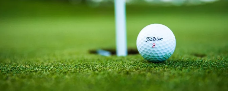 Untitled design 45 768x307