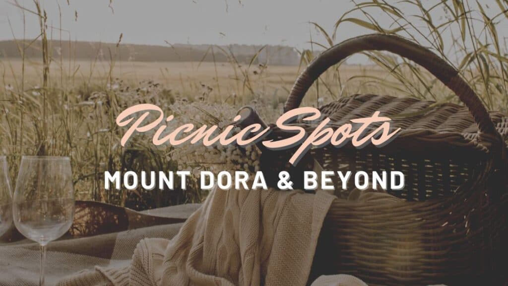 Picnic Spots in Mount Dora