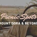 Picnic Spots in Mount Dora & Beyond