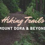 Hiking Trails in Mount Dora & Beyond