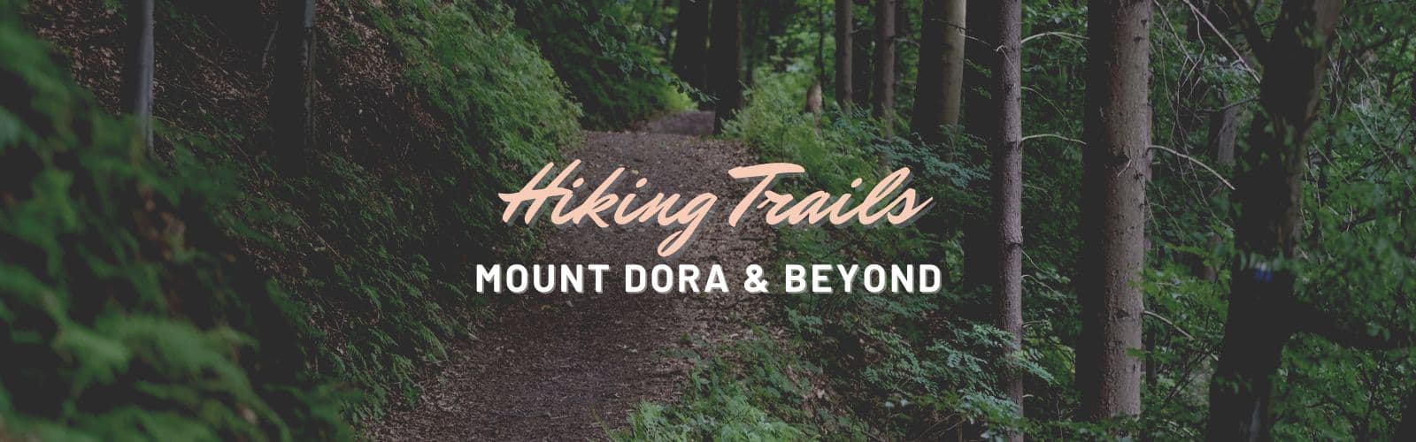Hiking Trails in Mount Dora