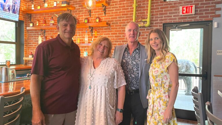 Mellow Mushroom 12 768x432