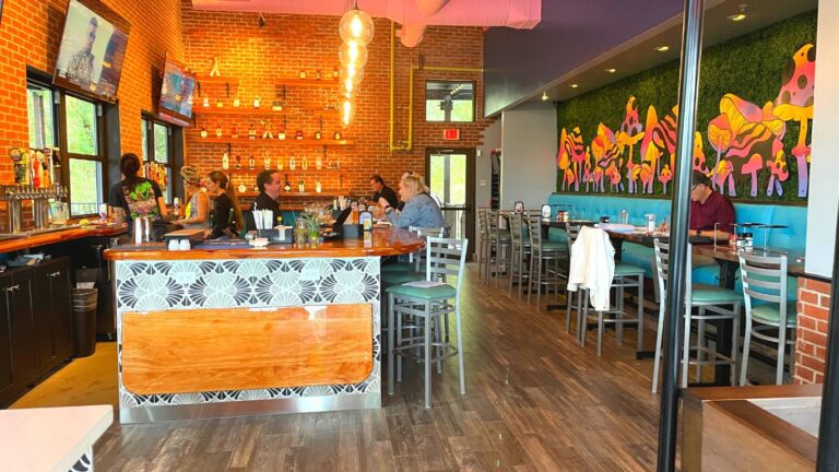 Mellow Mushroom 7 768x432