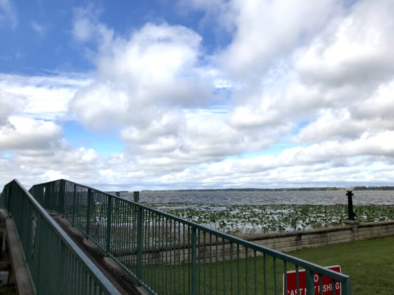 img2806 copy 768x576