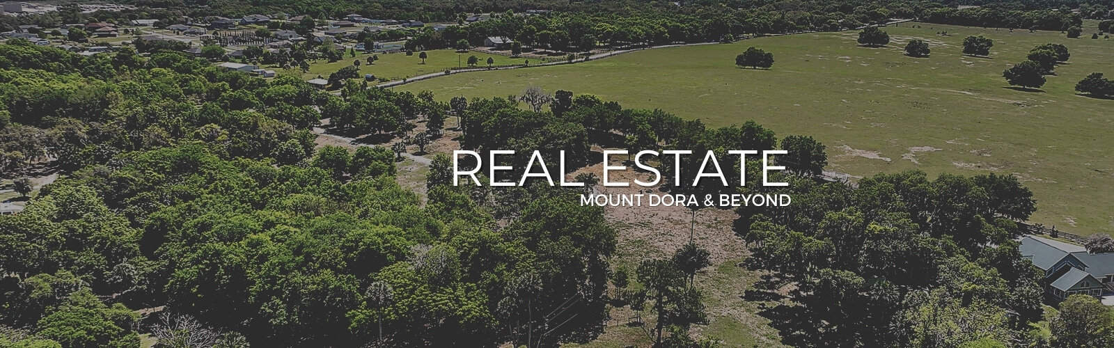 Lake County Real Estate