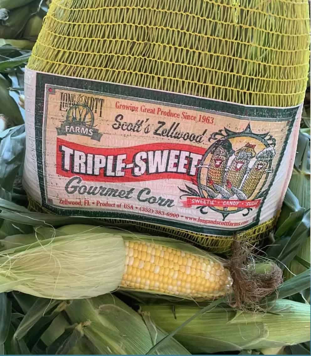 Great Scott Farms Fall Festival and Corn Maze