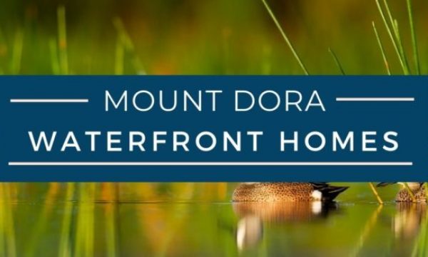 Mount Dora Waterfront Homes